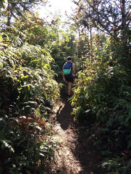 環O之三角湖山，向天湖山，光天高山一日遊1009951