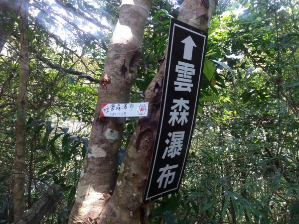 108.08.17 三峽  雲森瀑布654721