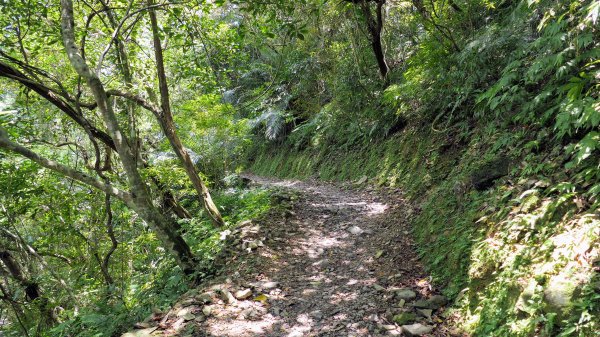 福山部落,內洞森遊區2552404