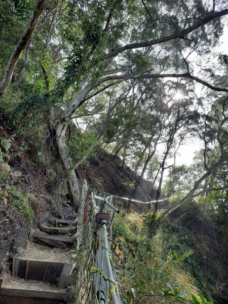 《彰化》田中森林登山步道O型202011221179712