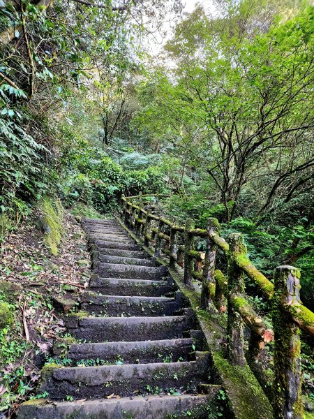 小百岳集起來-二格山2180909