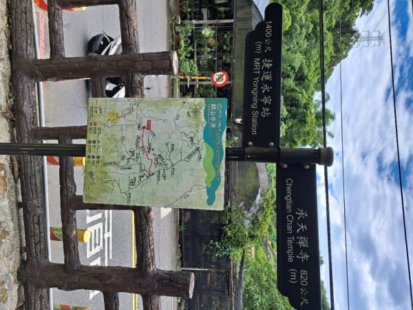 2026微笑山線望月亭桐花段3103848