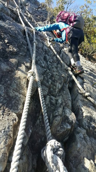 喜愛曬太陽又流汗又刺激又美麗446165