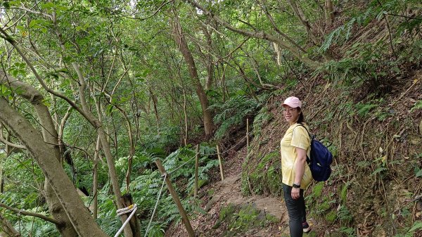 (姨婆趴趴走)第九集:攀登新北鶯歌石，鶯歌郊山步道群縱走(一)2167932