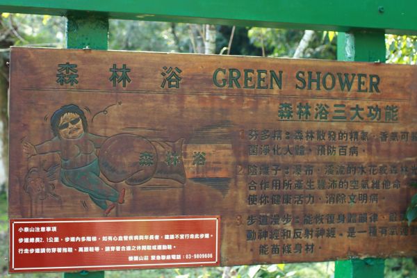 棲蘭森林浴步道194293