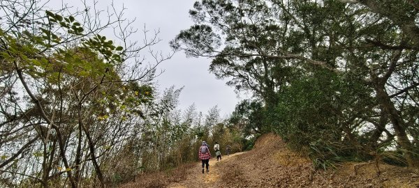 2025/01/04_鹿廚坑健行步道2683474