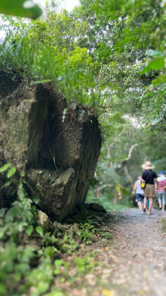 涼意滿滿的〔烏來〕福山部落古圳道消暑趣1777001