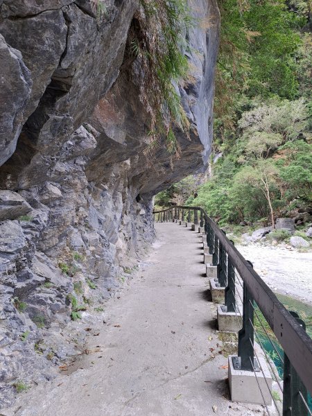 砂卡礑二日行D2：大同部落→千里眼山→砂卡礑步道→小錐麓步道→遊客中心202312032368731