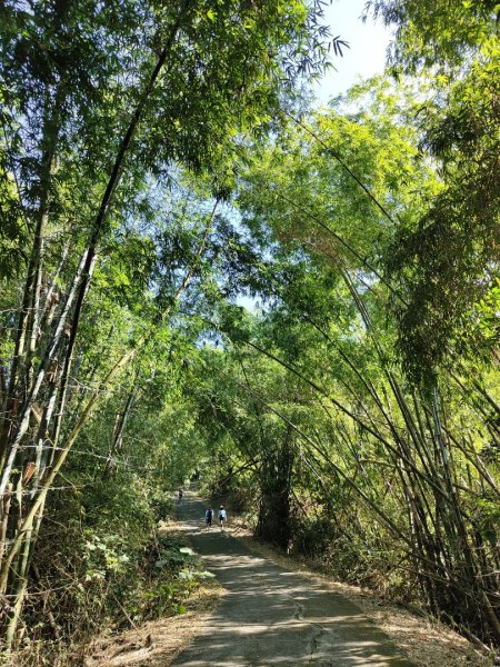 2023.12.24 旗尾山2838042