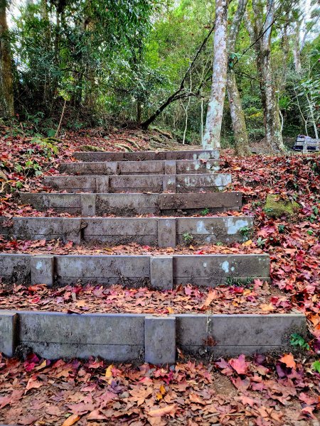 小百岳集起來-馬那邦山2181248