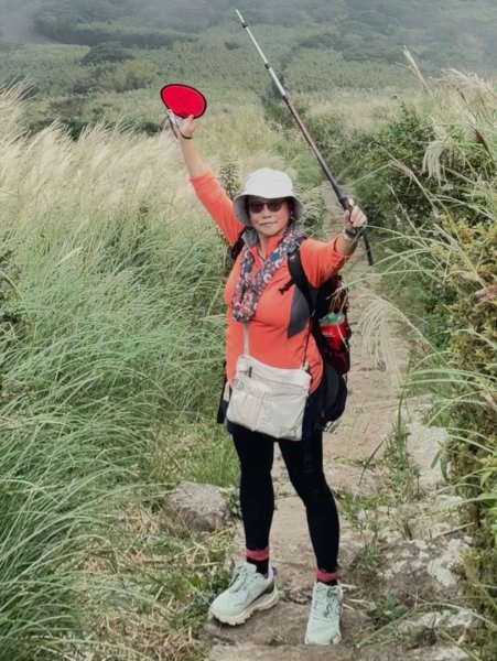 大屯山(小百岳# 001) &小油坑山2898851