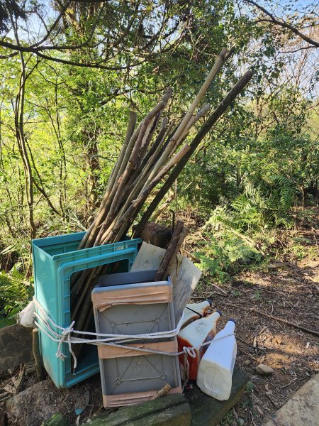 20250322-姜子寮山2740011