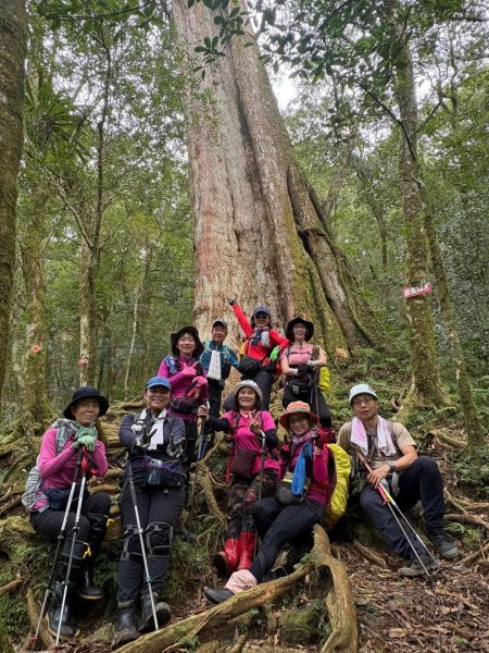 復興赫威神木2748205