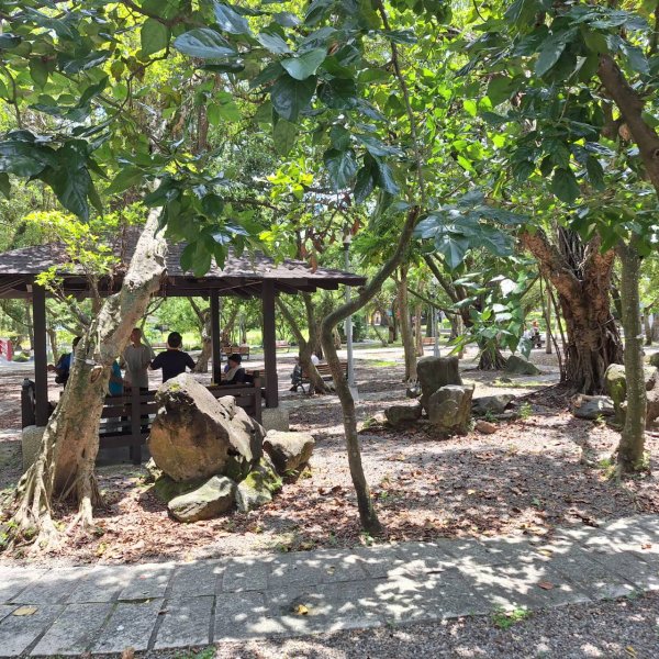 「2025 臺北健走趣」12行政區完成!2838598