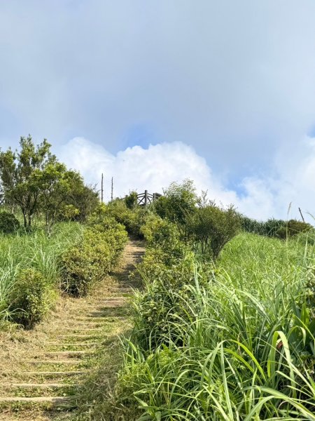 【基隆】姜子寮山2559287