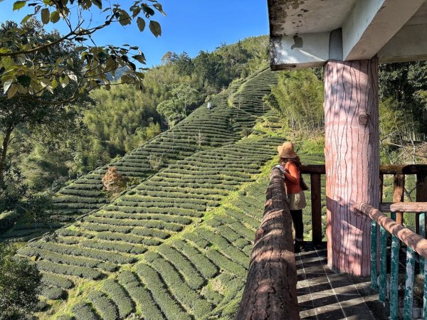 溪頭六連峰O繞2741774