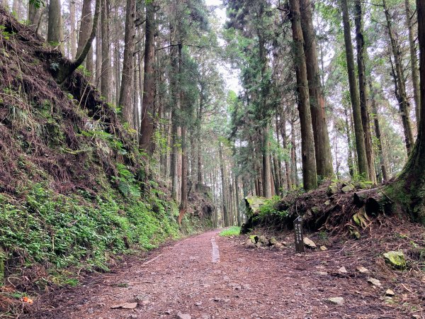 特富野古道2625590