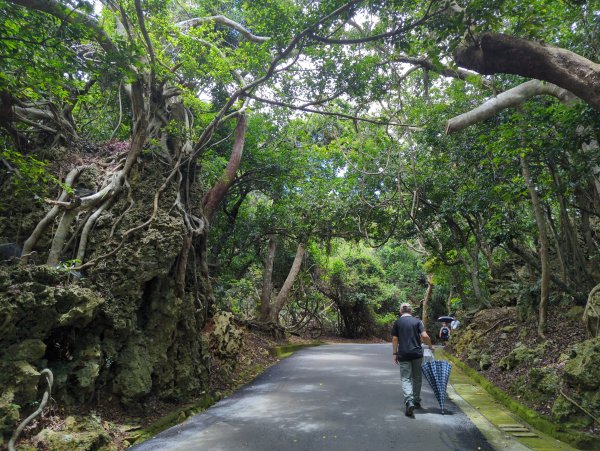 2024.06.09－墾丁國家公園2523839