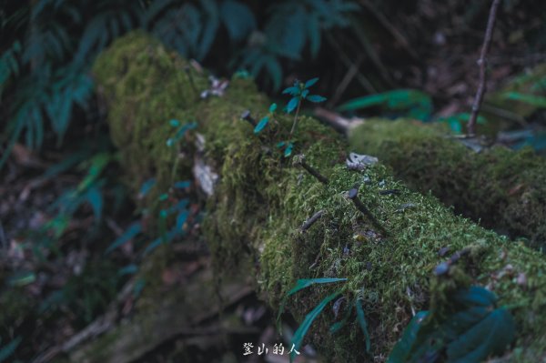 霞山鐵道野營2843091