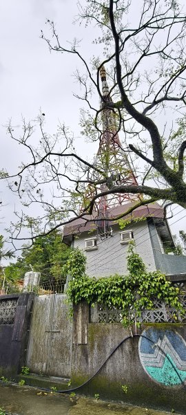 2026/03/01-紅淡山步道3010058