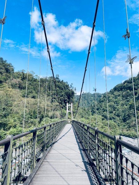 20250227 鳩之澤自然步道2736066