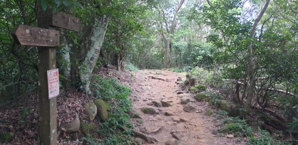 飛鳳山 觀日坪古道1752071