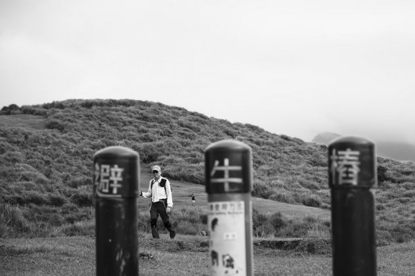 擎天崗.金包里大道(北段).日人路1086390