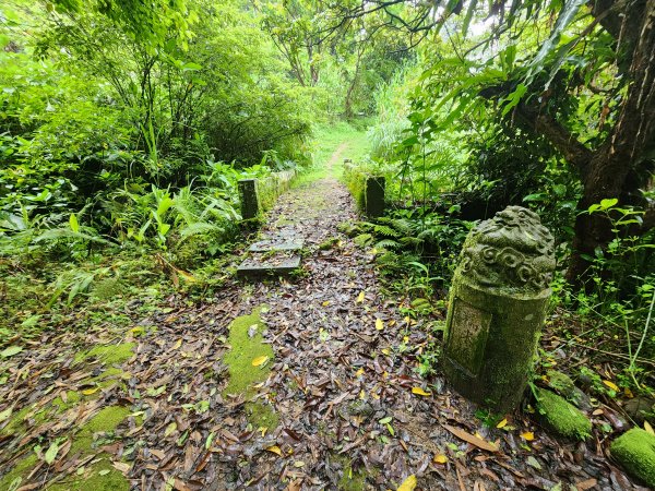 20250427大山背山田寮山毬子山騎龍山2933679