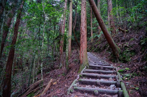 大霸群峰 ｜百岳之路II1000901