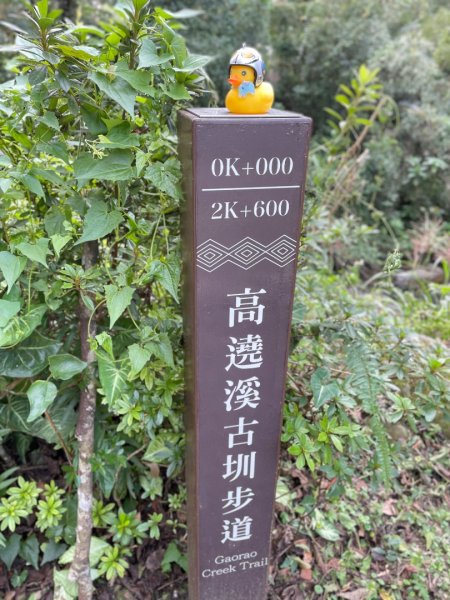 桃園-高遶溪天空吊橋-高遶溪瀑布-高遶溪古圳步道2942002