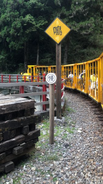 立秋的太平山健行→森鐵蹦蹦車→茂興懷舊步道→見晴古道1825588