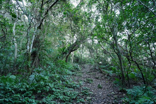 新北 新店 直潭山、二龍山2703895