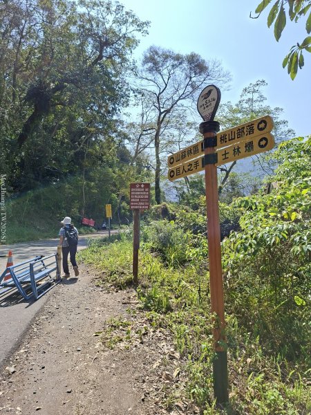 《台中》巨人之手｜雪山坑環線步道202603223021453