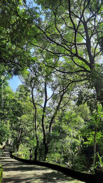 《台中》秋虎飆汗｜潭子新田登山步道上聚興山O繞202409152594062