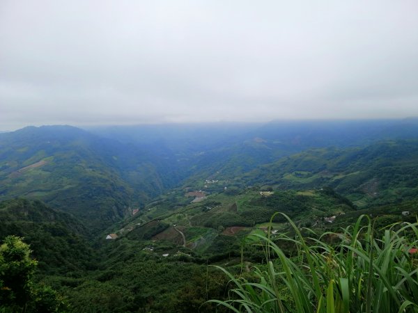 【苗栗大湖】台灣百大必訪步道~馬那邦山1173186