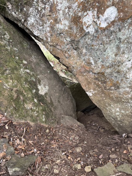 大坪祕境的奇岩2672548