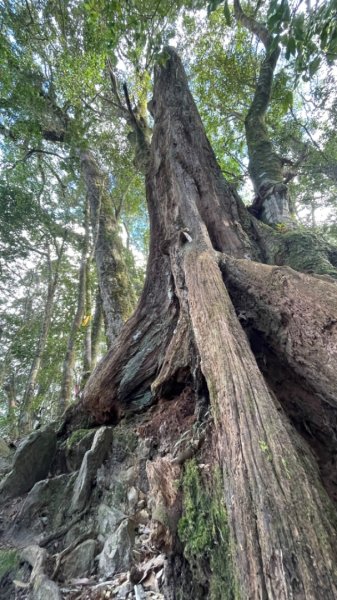 鳶嘴西稜上鳶嘴山-三崠山連走2652158