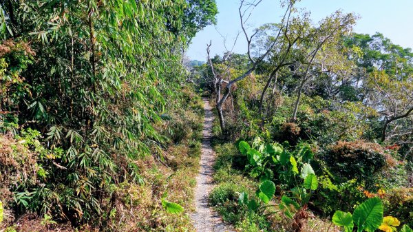 南化刣牛湖山2987504