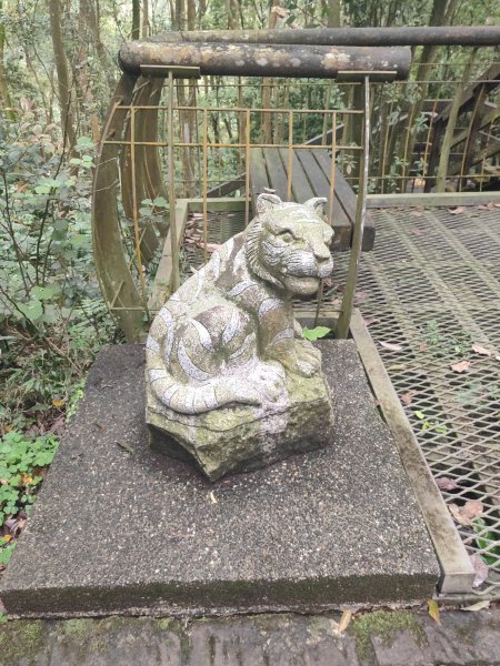 臺北大縱走第六段3025114