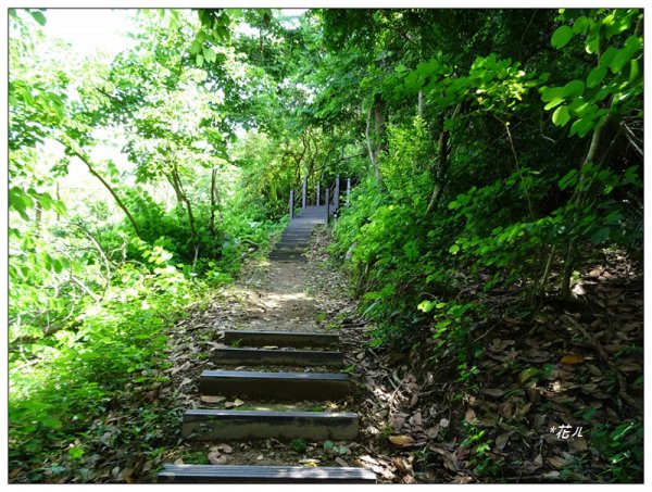 豐原/公老坪蜈蚣崎登山步道1459356