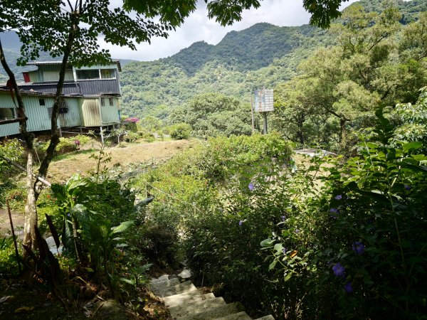 [淡蘭古道] 2026_0531 北路第四段_金字碑古道(上)-牡丹段3071002