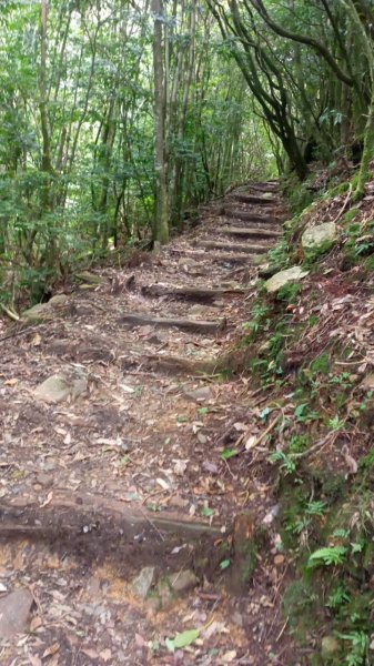 20220910稍來小雪山步道-鞍馬山支線1839354