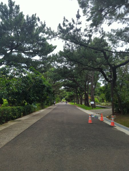 2025.07.20－霄裡好風光：大湳森林公園&亮亮健康樂園2841534