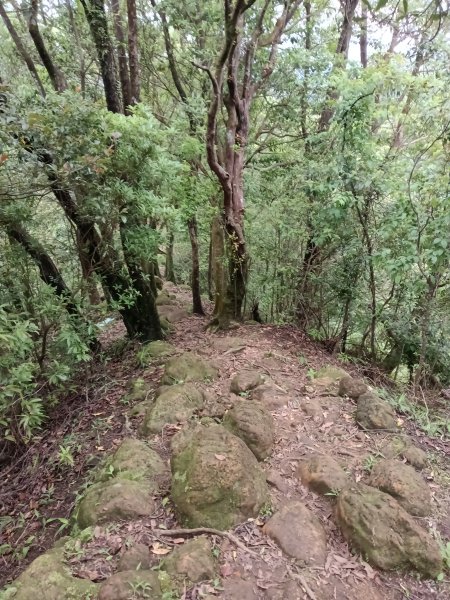 平溪區三功大厝+番子坑山+千階嶺步道O型2781190