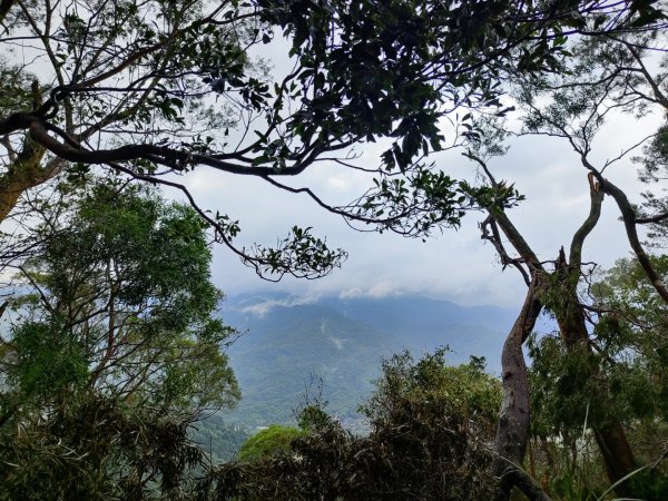 天上山雨中漫步2643243