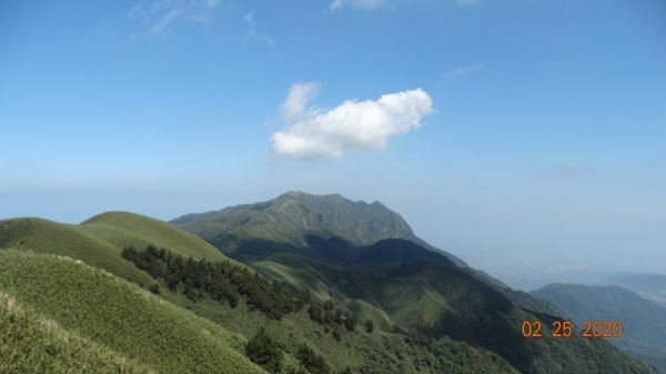 小觀音山主/北/西峰(稜)&大屯851687