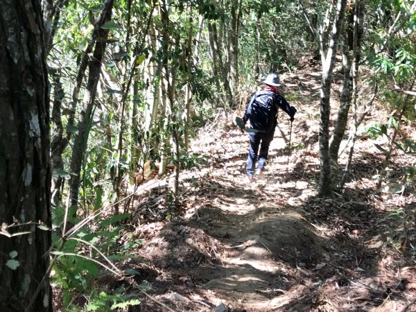 埔里關頭山走舊武界越山502386