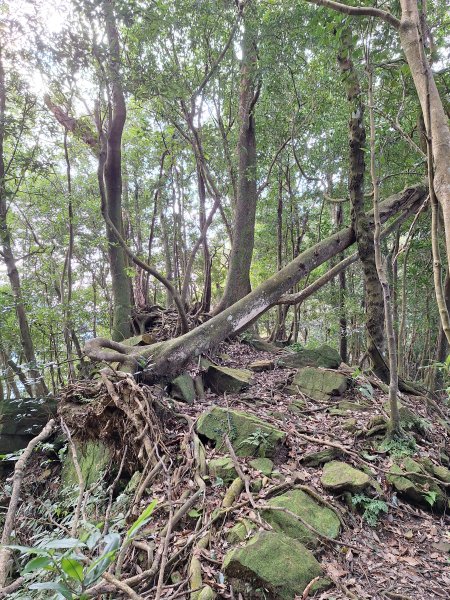 仙山古道群峰O型2693652