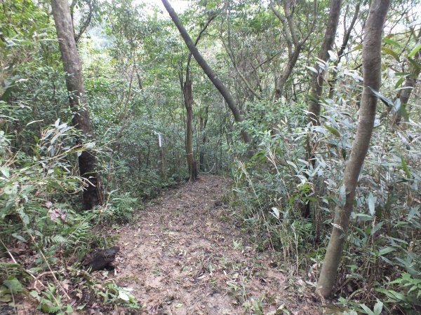 百二階古道+苕谷瀑布+逸仙山+泰和樓2734483