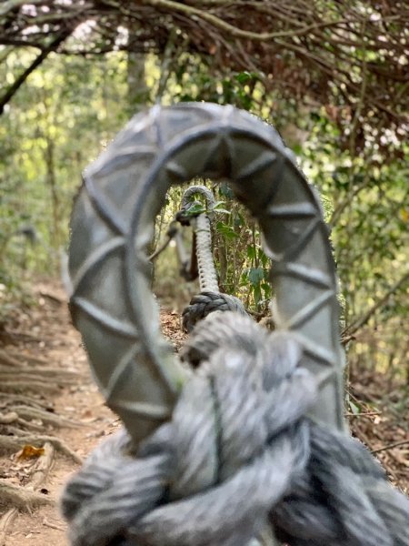 2021.03.14 「水社大山 」1307246